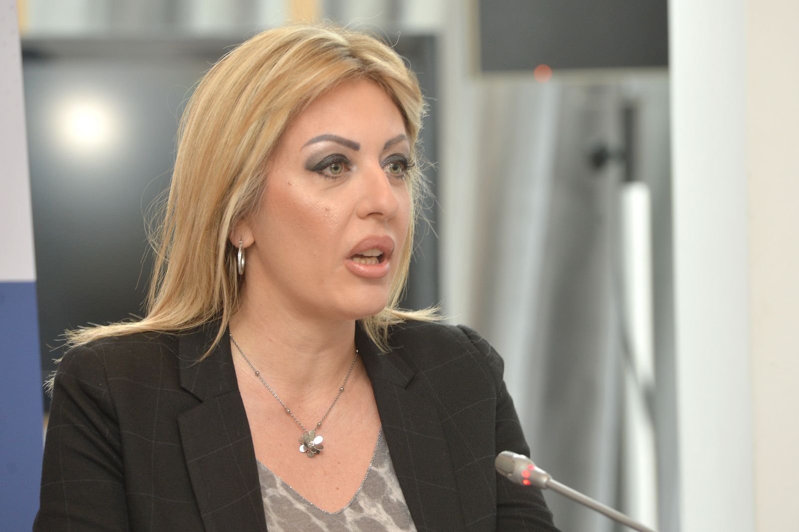 J. Joksimović: Evropa je ženskog roda