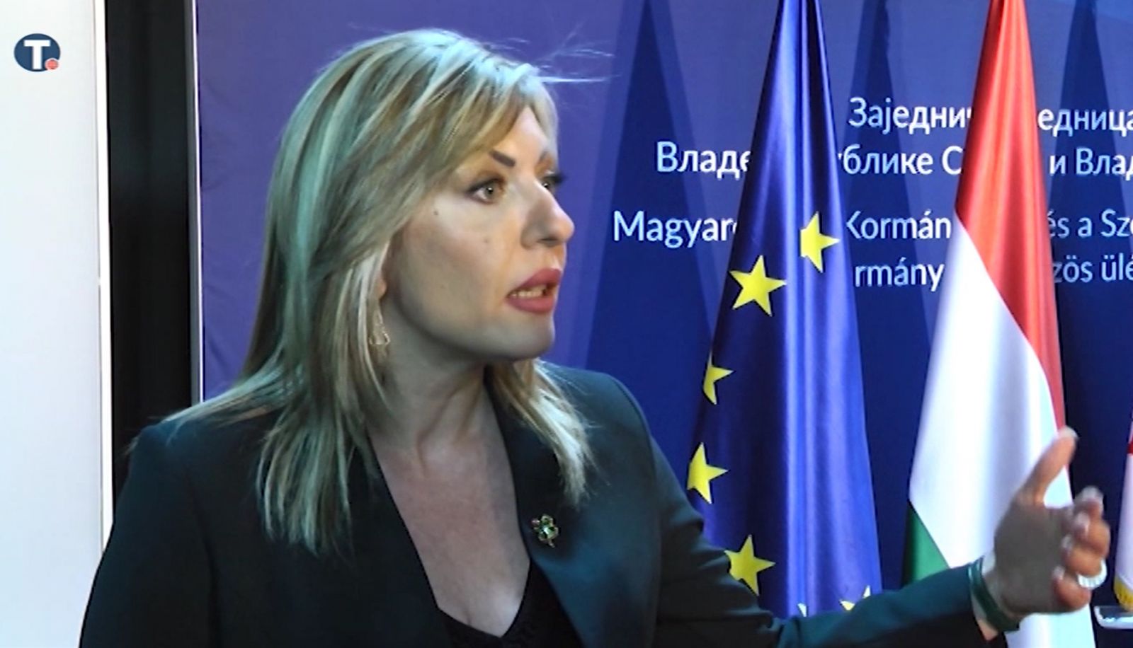 Ј. Јоксимовић: Гласна подршка најближег суседа да Србија заслужује динамичнији ЕУ пут