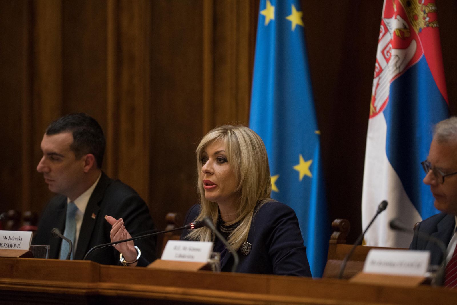 J. Joksimović: Srbija, kao kandidat za EU, pokazuje veliku odgovornost