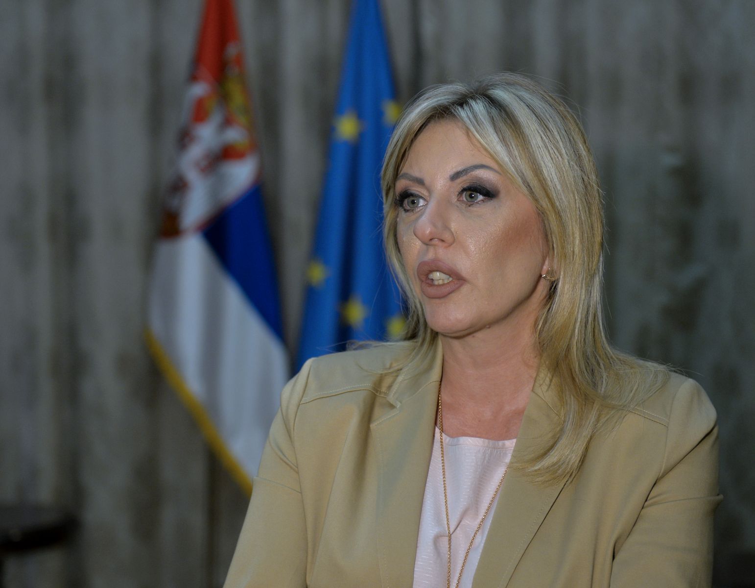 Ј. Јоксимовић: Појачано интересовање САД за евроинтеграције региона Ј. Јоксимовић: Појачано интересовање САД за евроинтеграције региона