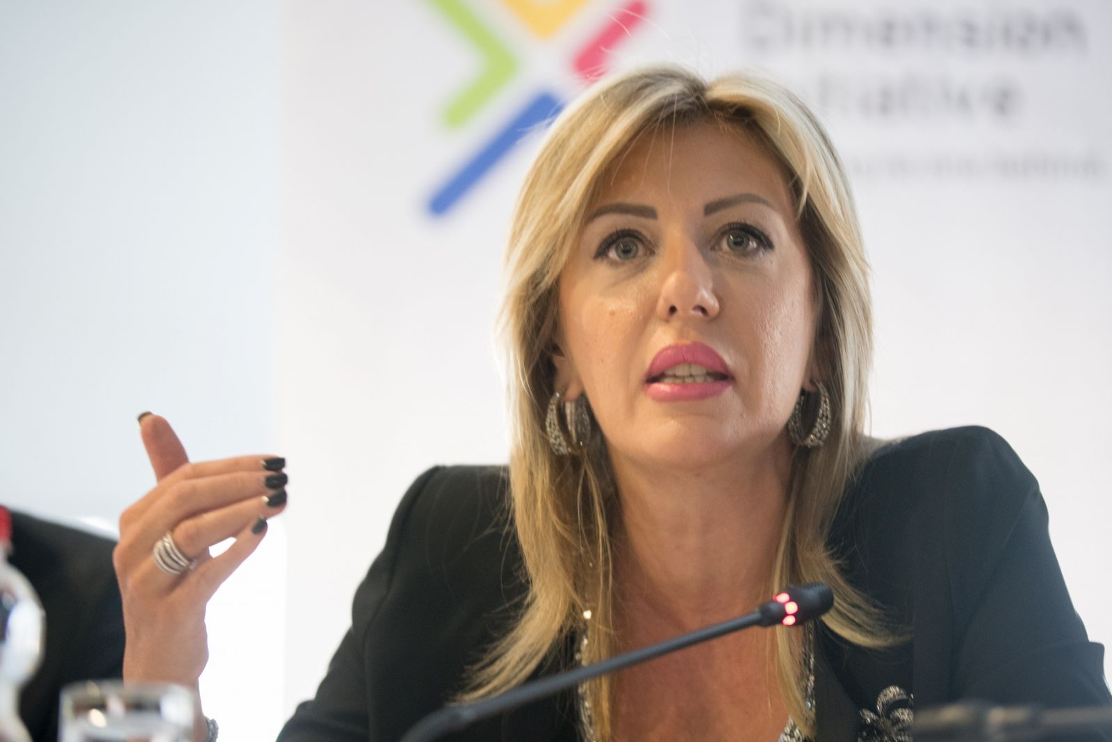 J. Joksimović: A special Action Plan on the Rights of National Minorities is only required of Serbia