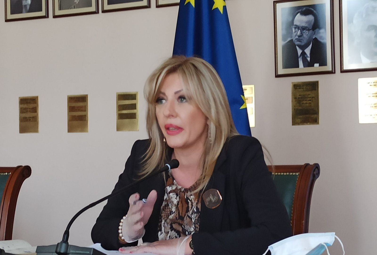 Ј. Јоксимовић: ЕУ ће повећати средства за опоравак Србије и ЗБ Ј. Јоксимовић: ЕУ ће повећати средства за опоравак Србије и ЗБ