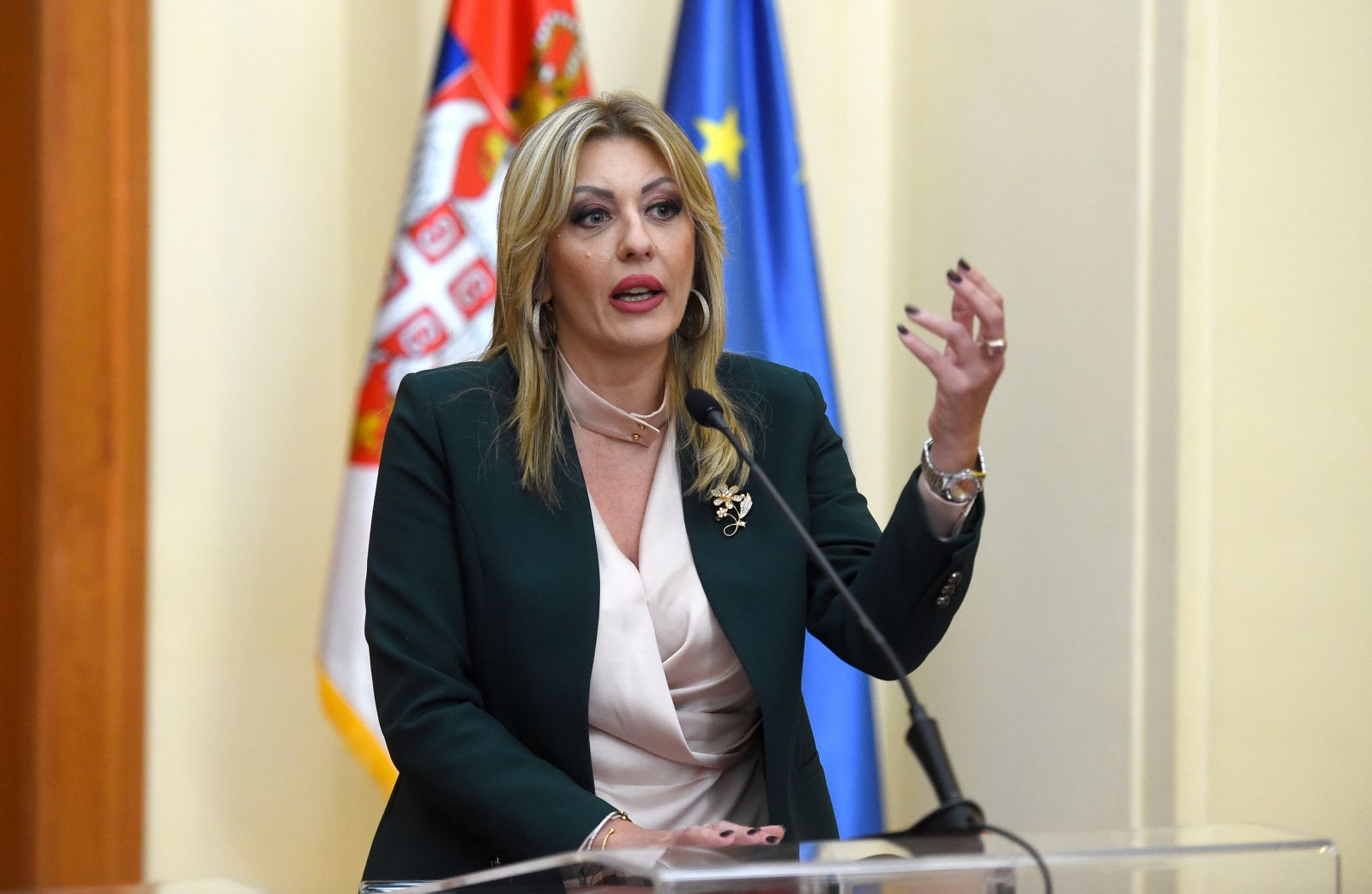 J. Joksimović: Important meeting between Vučić and Várhelyi