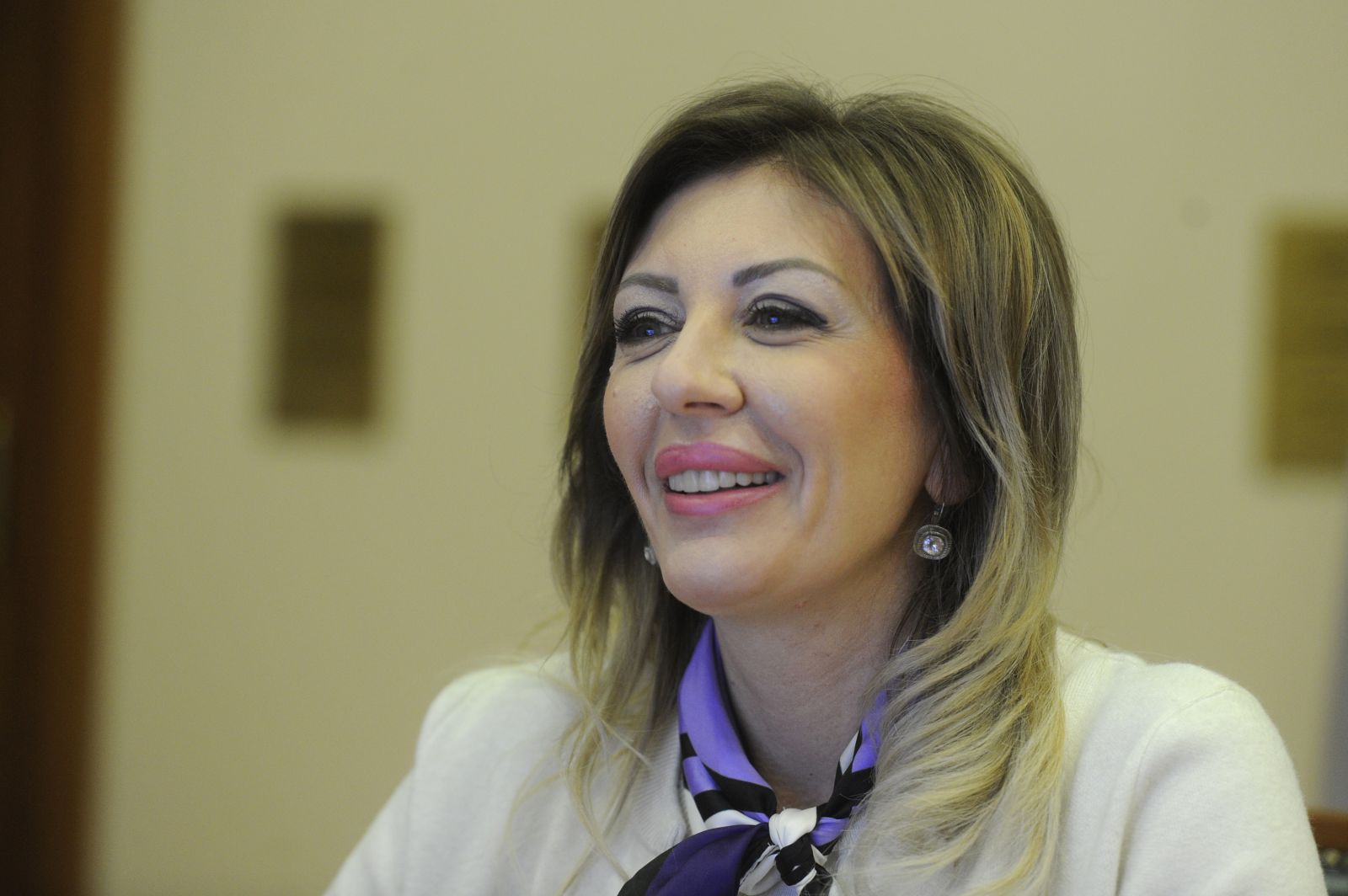 J. Joksimović: New methodology for greater credibility of negotiations J. Joksimović: New methodology for greater credibility of negotiations
