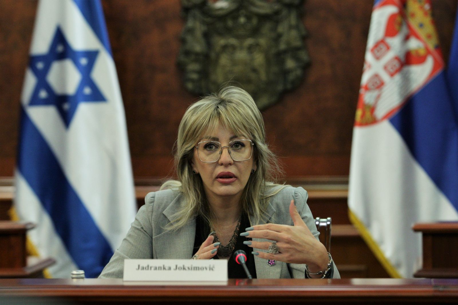 J. Joksimović informed Israeli delegation about constitutional reform