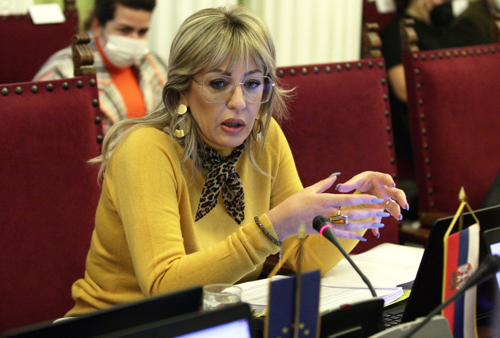 J. Joksimović: I expect that Serbia's progress will not be ignored 