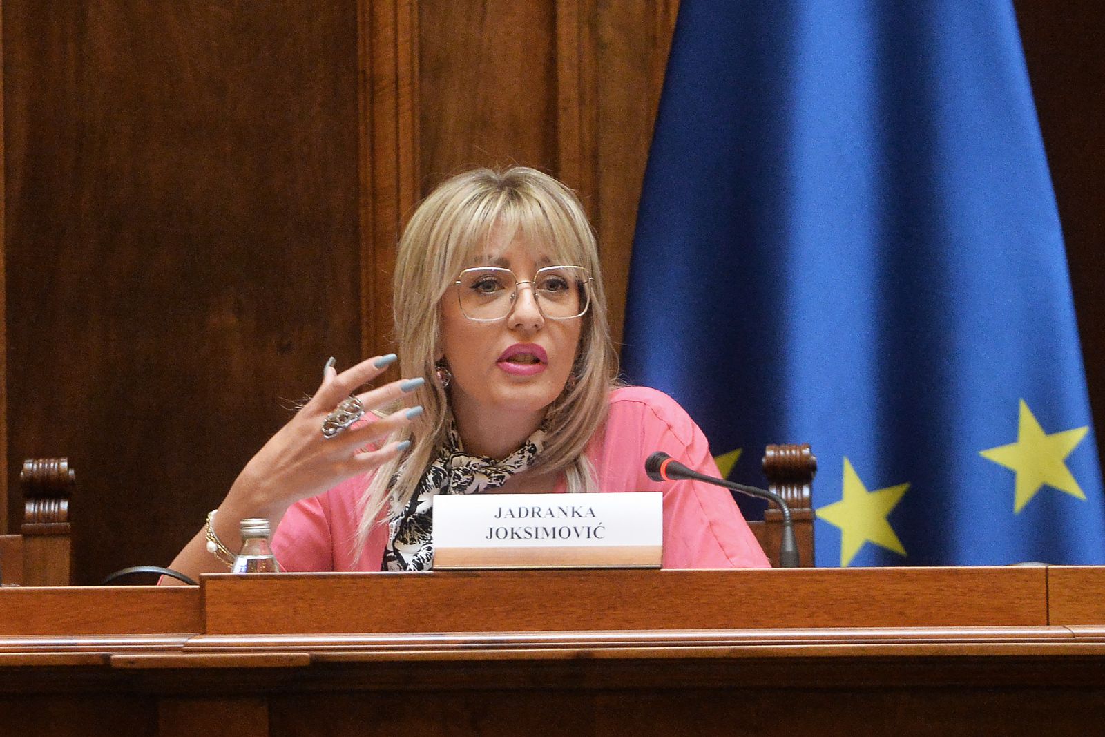Ј. Јоксимовић: Србија може да буде задовољна Извештајем ЕК Ј. Јоксимовић: Србија може да буде задовољна Извештајем ЕК