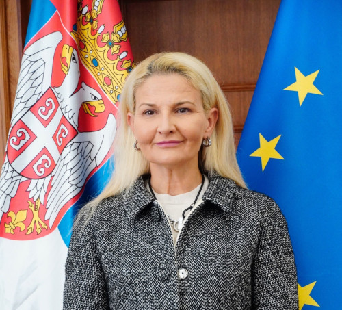 Мишчевић: Резолуција ЕП необавезујућа, без замрзавања фондова Мишчевић: Резолуција ЕП необавезујућа, без замрзавања фондова