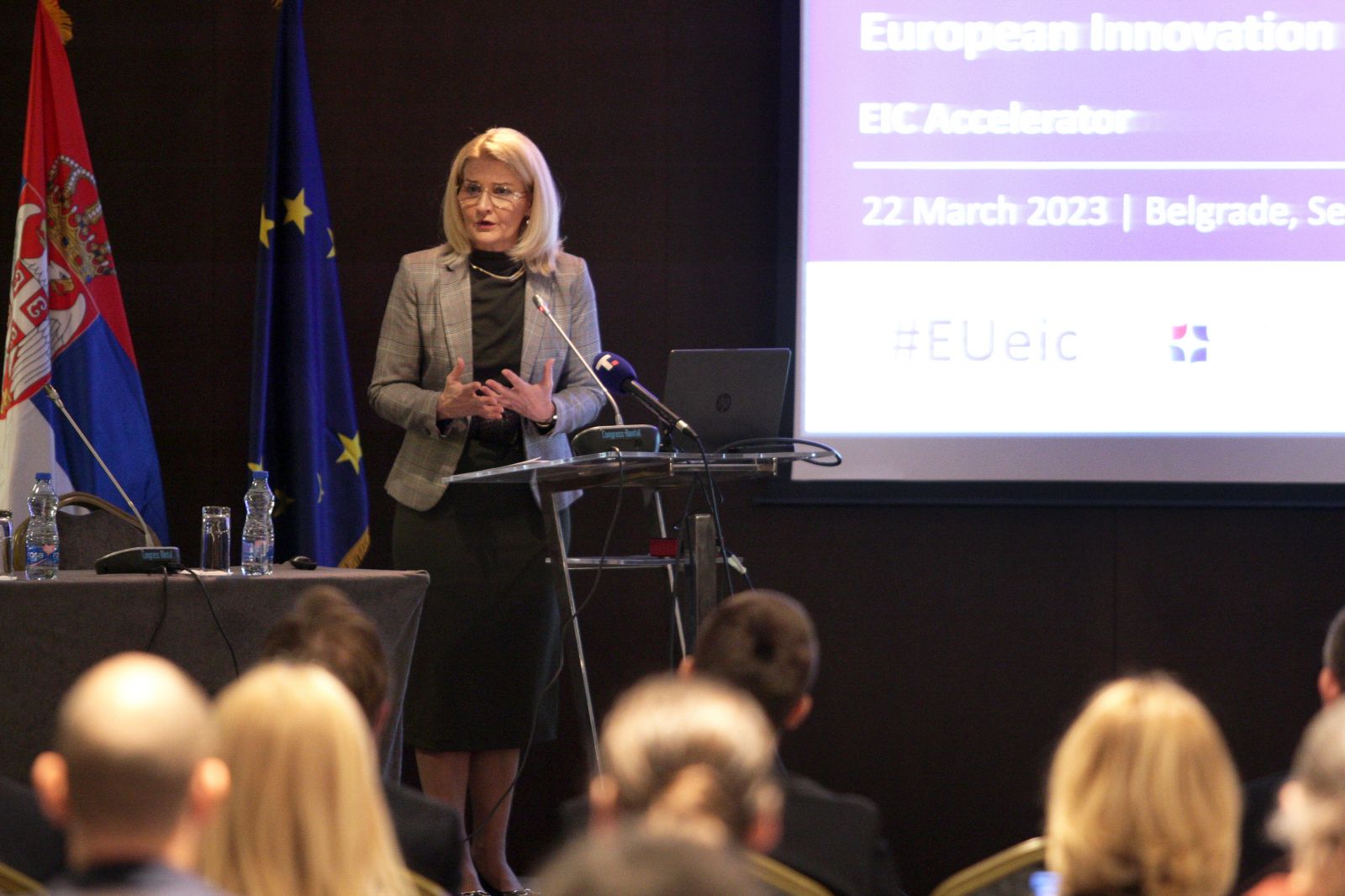 Miščević: We have to prove that we have a competent economic market