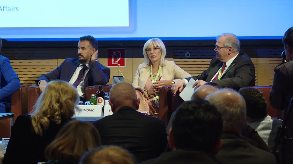 J. Joksimović: Economic development as conflicts prevention