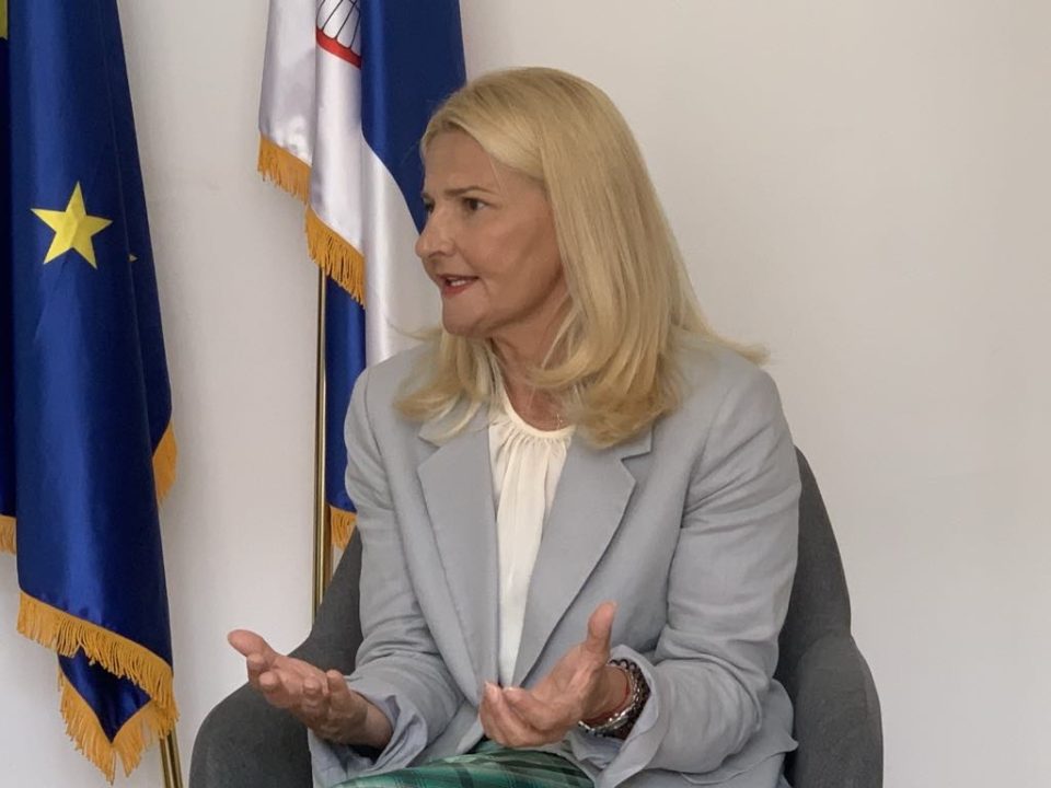 Miščević: Serbia is determined to accelerate the European integration process