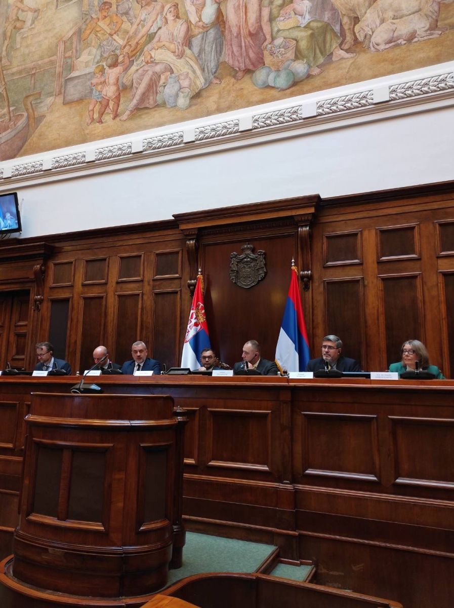 17th Meeting of the European Union–Serbia Stabilisation and Association Parliamentary Committee (SAPC)